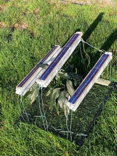 Fig_1_3-panel_loar_cage